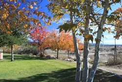 Pet friendly dog park in Taos, New Mexico: Italianos and Gavilan