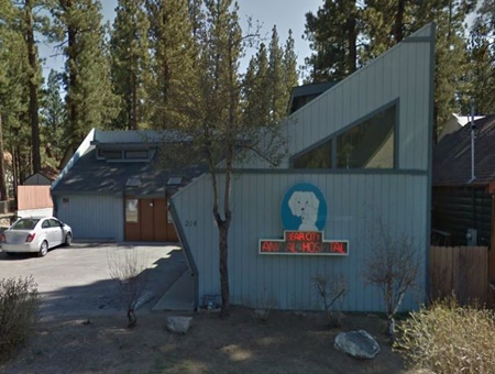 taos pet friendly vet new mexico