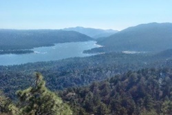 Pet friendly dog park in Taos, New Mexico: Wheeler Peak Wilderness Area Trail