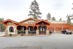 pet friendly restaurants in fort lauderdale, florida, restaurants dogs allowed fort lauderdale florida