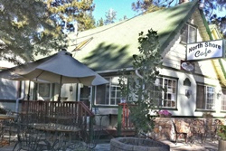 pet friendly restaurants in fort lauderdale, florida, restaurants dogs allowed fort lauderdale florida